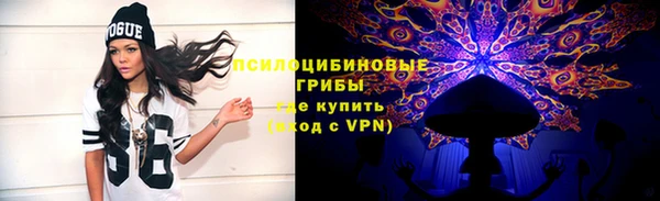 трава Новый Уренгой