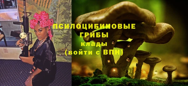 соль ск Долгопрудный