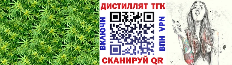 Купить закладки  Курчалой  Дистиллят ТГК жижа 